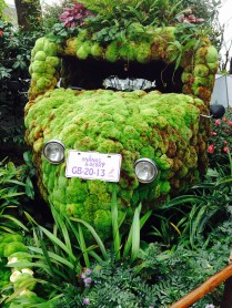 Foto 28.09.14, 05 15 29