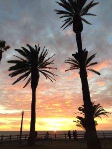 20161105_191149000_iOS