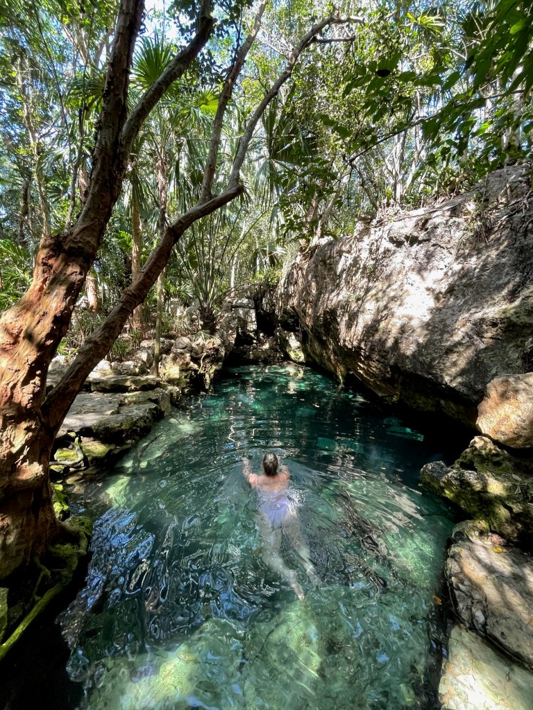 Eine der vielen Cenoten nahe Tulum im Staat Quintana Roo in Mexiko